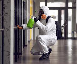 Mold Removal for HVAC Installations in Perrysburg, OH